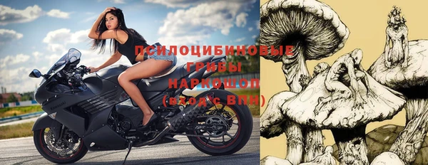 первитин Богородицк