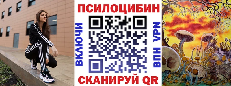 Галлюциногенные грибы Cubensis Королёв