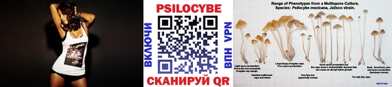 Псилоцибиновые грибы мицелий  дарнет шоп  Королёв 
